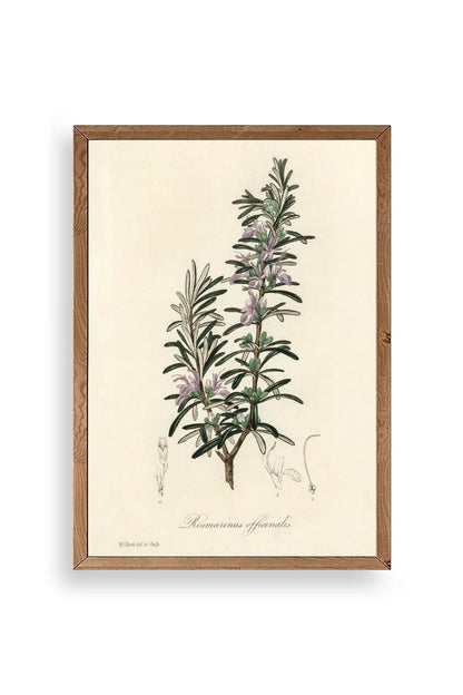 Yaprak Ahşap Çerçeveli Tablo 23 x 30