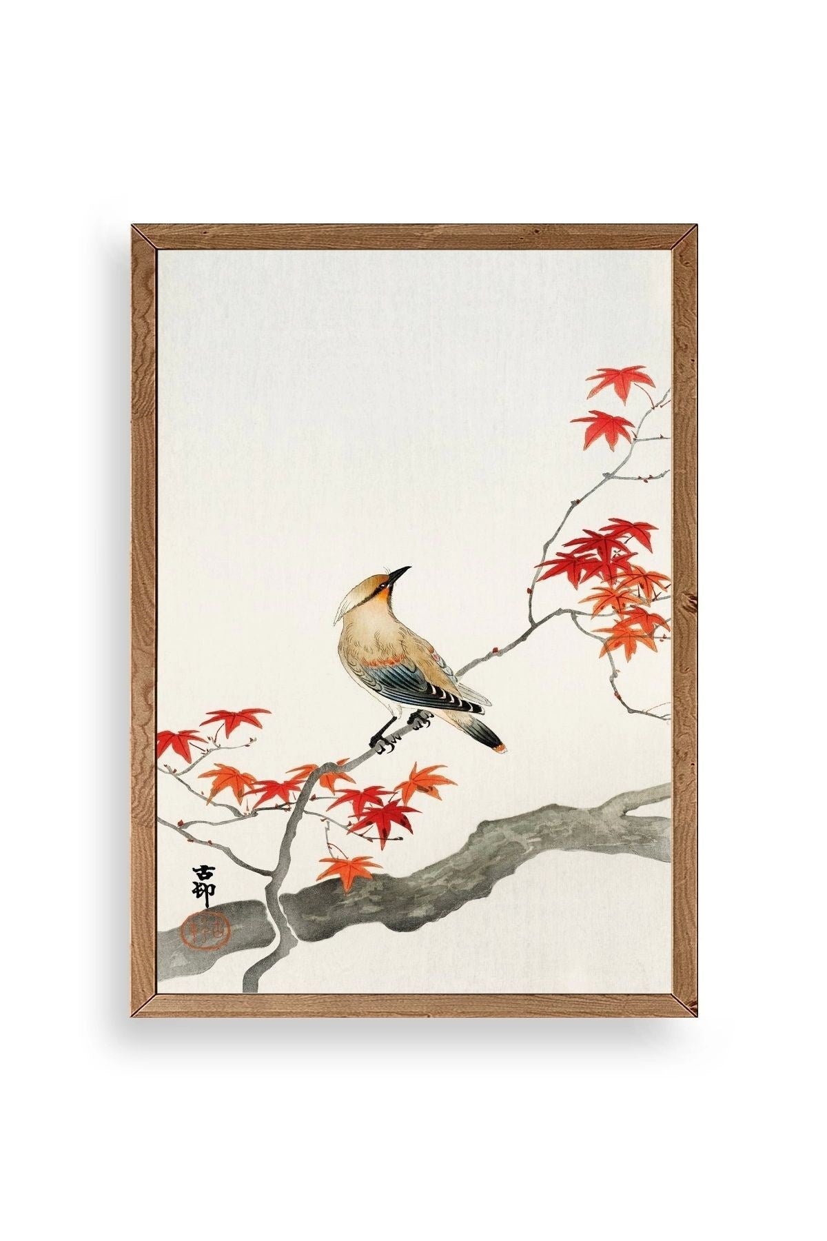 Ohara Coson Ahşap Çerçeveli Tablo 23 x 30