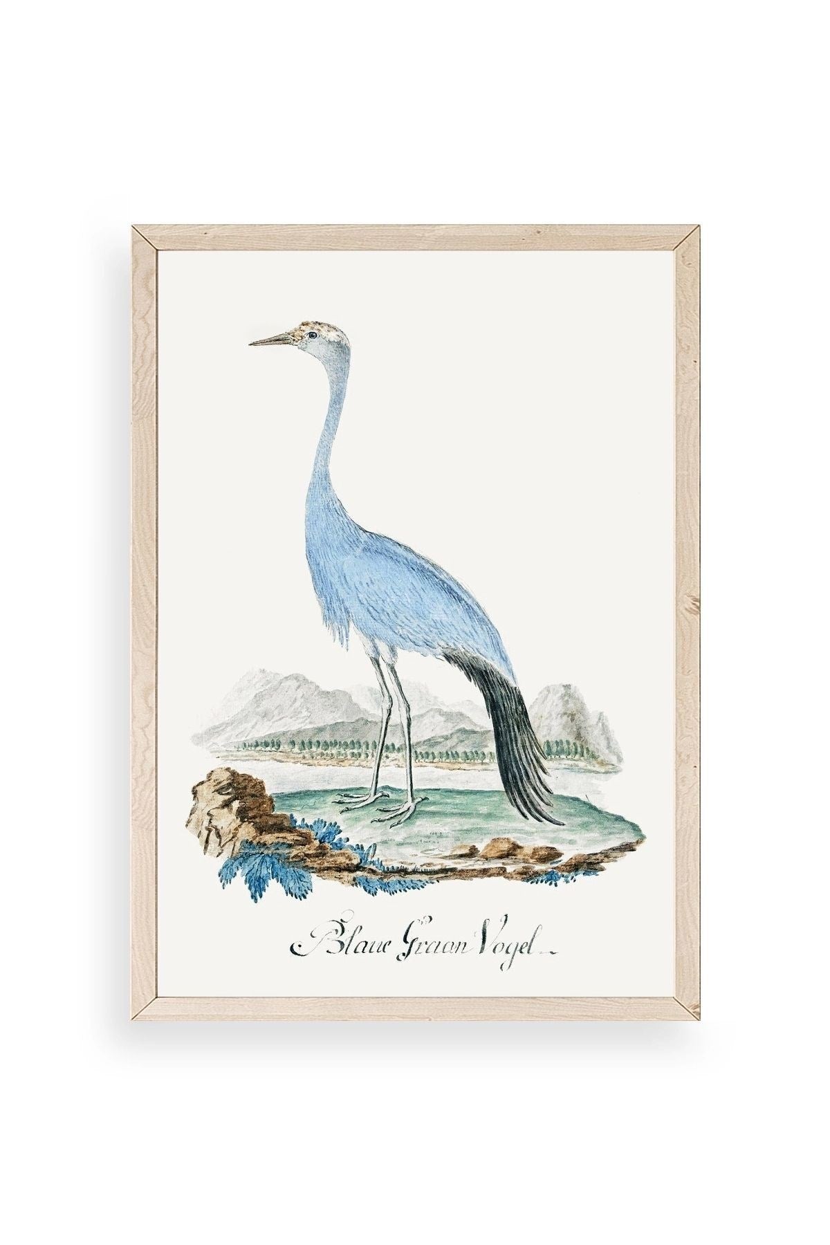 Blaue G. Voyel Ahşap Çerçeveli Tablo 50 x 70