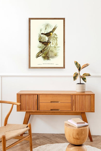 Kuşlar Ahşap Çerçeveli Tablo 23 x 30