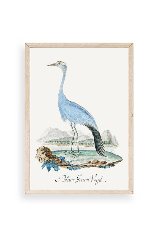 Blaue G. Voyel Ahşap Çerçeveli Tablo 23 x 30