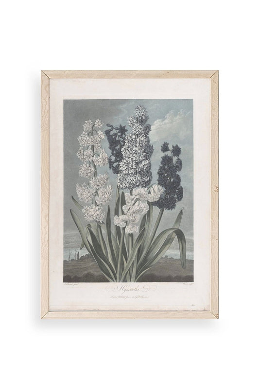 Legendarte Canvas Ahşap Çerçeveli Tablo 50 x 70