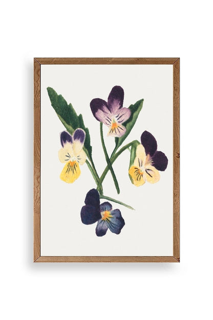 Çiçekler Ahşap Çerçeveli Tablo 17 x 23