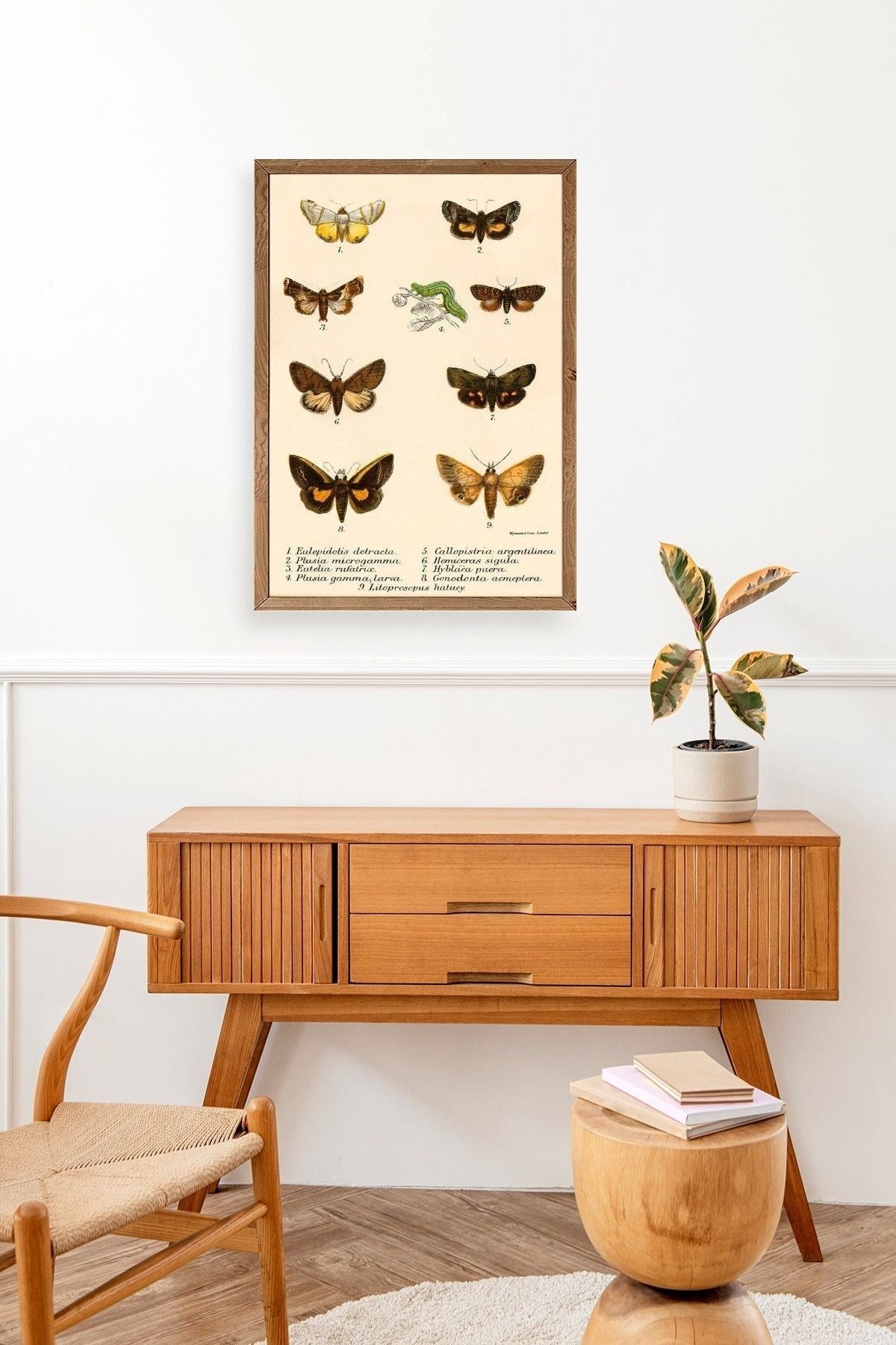 Kelebekler Ahşap Çerçeveli Tablo 17 x 23