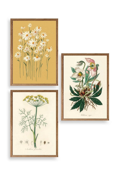 Çiçek Üçlü Ahşap Çerçeveli Tablo 50 x 70