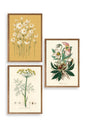 Çiçek Üçlü Ahşap Çerçeveli Tablo 50 x 70