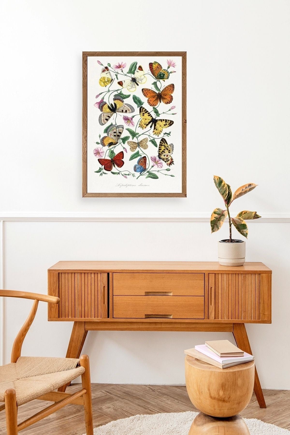 Lepidopteres Diurnes Ahşap Çerçeveli Tablo 23 x 30