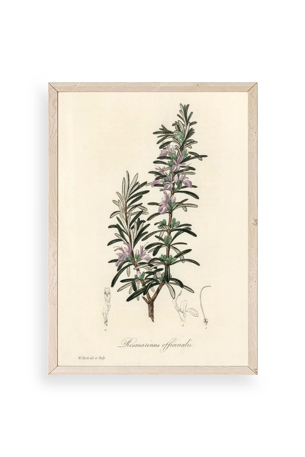 Yaprak Ahşap Çerçeveli Tablo 50 x 70