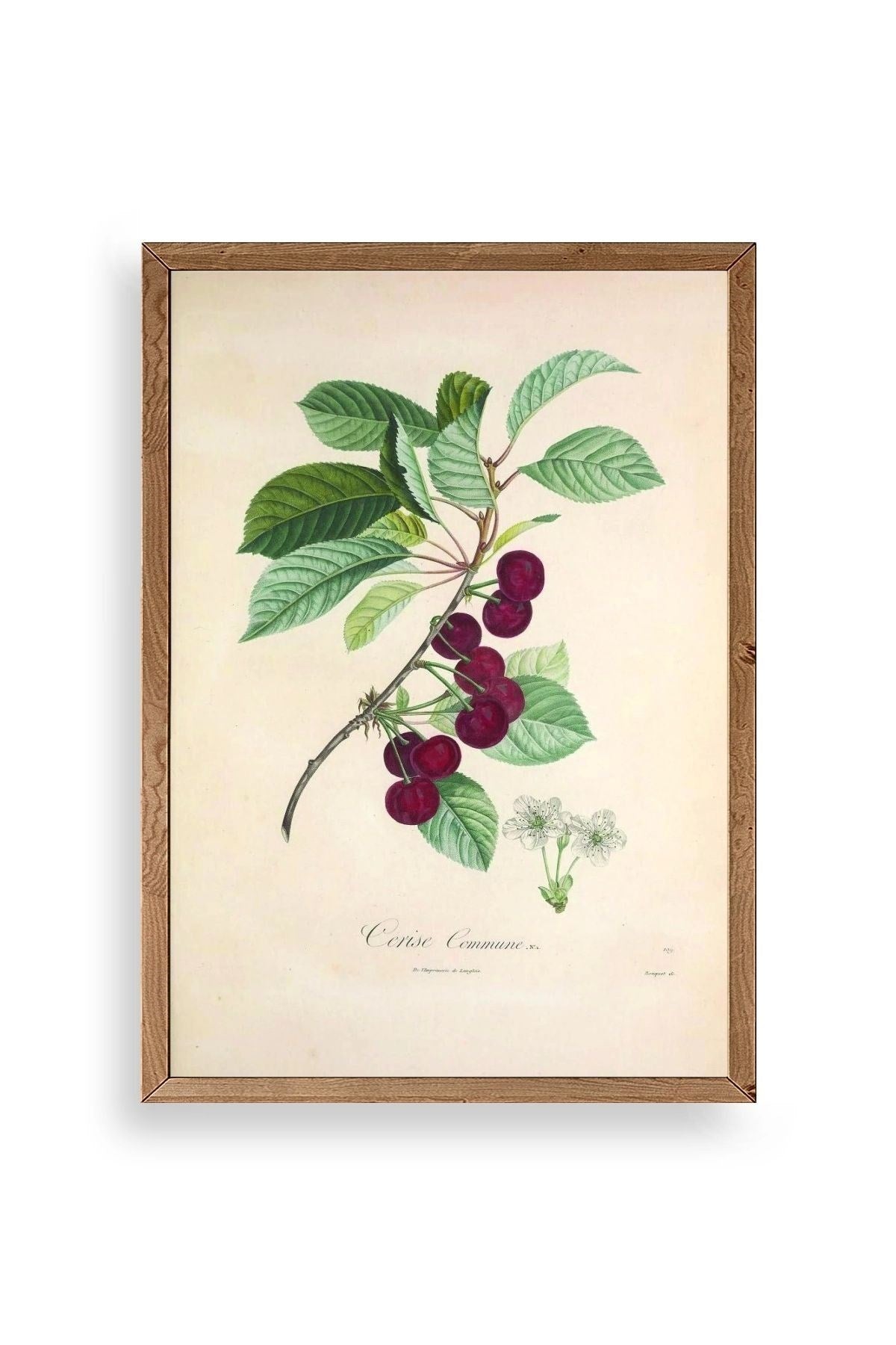 Meyveler Ahşap Çerçeveli Tablo 17 x 23