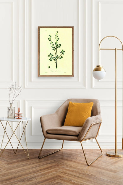 Yapraklar Ahşap Çerçeveli Tablo 50 x 70