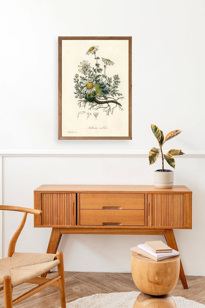 Papatya Ahşap Çerçeveli Tablo 17 x 23