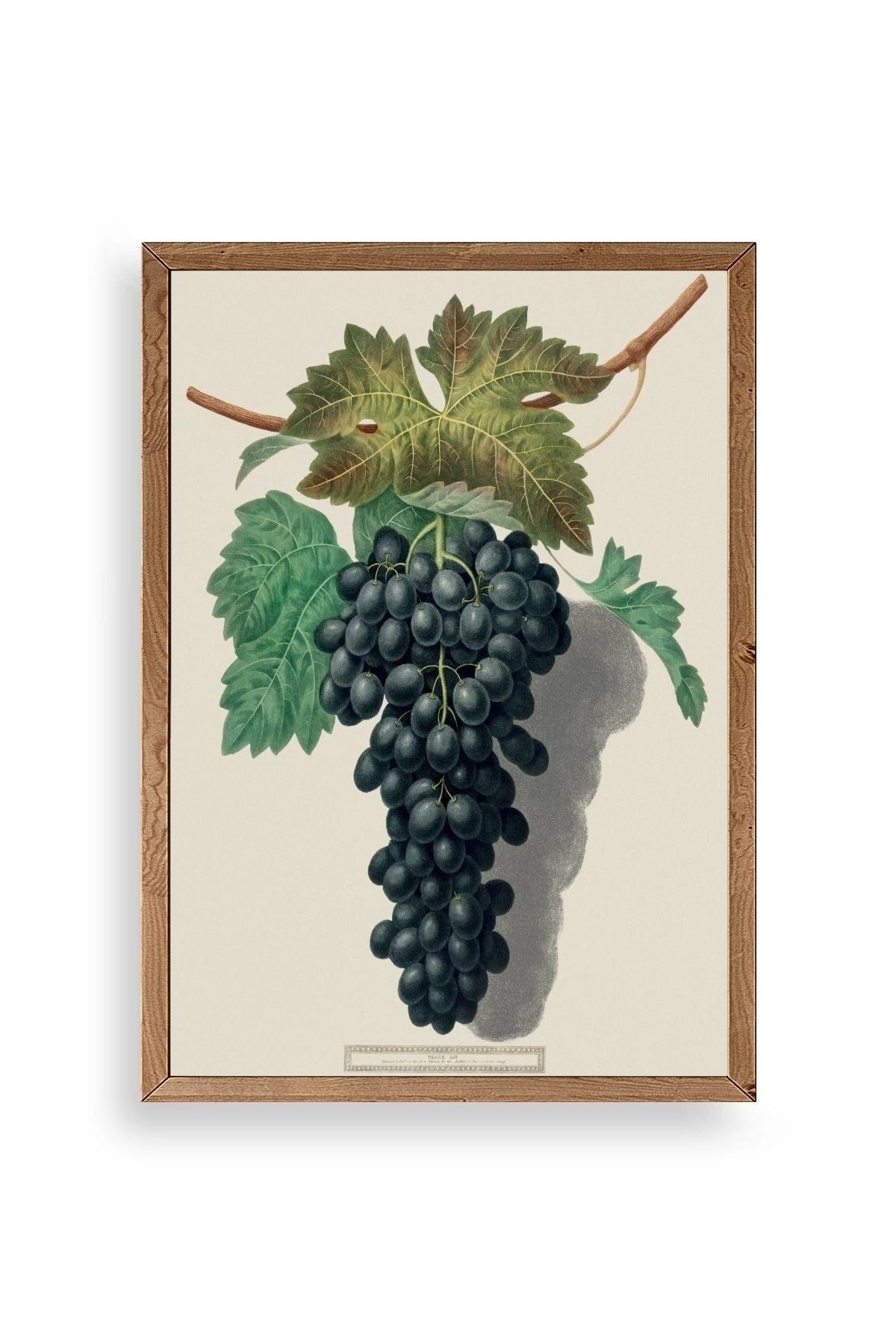 Üzüm Ahşap Çerçeveli Tablo 17 x 23