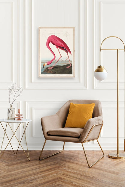 Flamingo Ahşap Çerçeveli Tablo 30 x 42