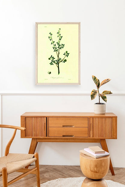 Yapraklar Ahşap Çerçeveli Tablo 17 x 23