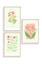 Botanik Üçlü Ahşap Çerçeveli Tablo 30 x 40