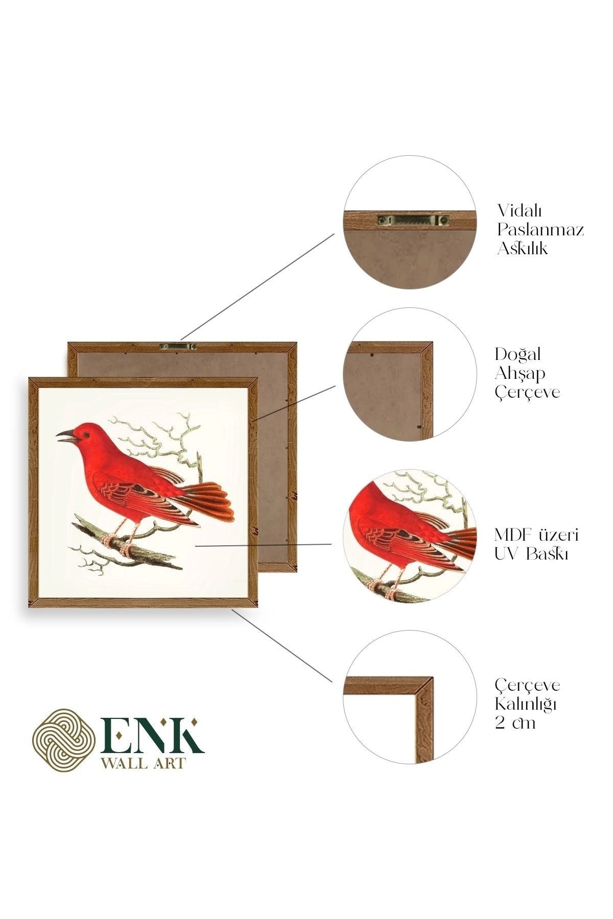 Kuş Ahşap Çerçeveli Tablo 50 x 50