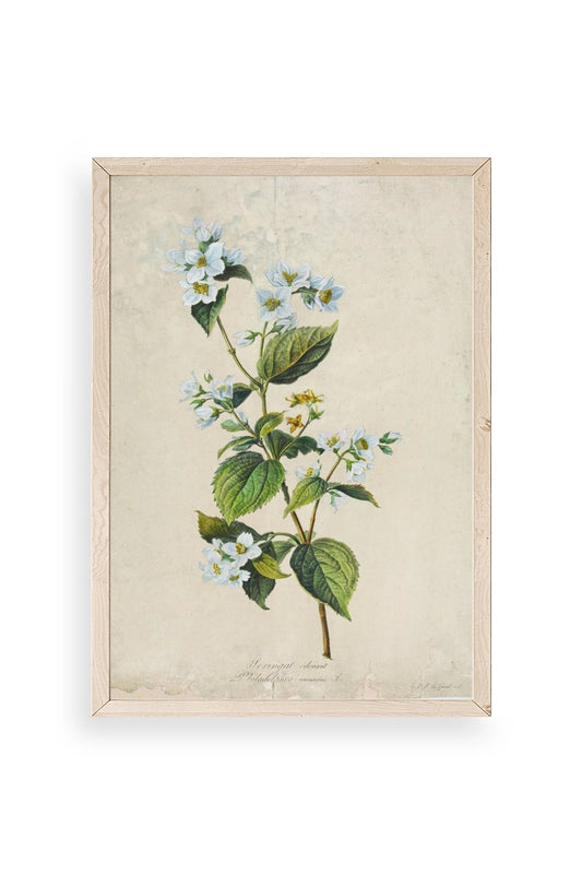 Çiçek Ahşap Çerçeveli Tablo 17 x 23