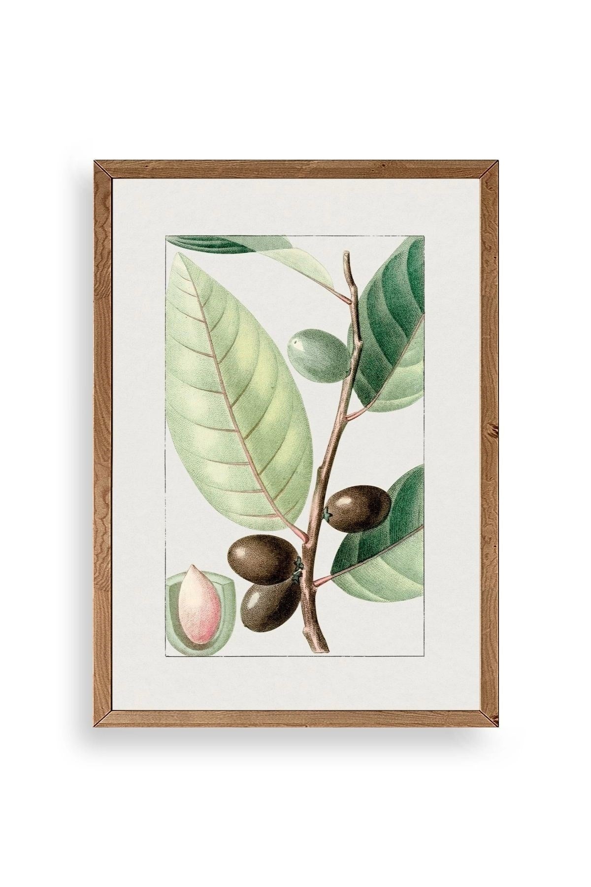 Zeytin Dalı Ahşap Çerçeveli Tablo 30 x 42