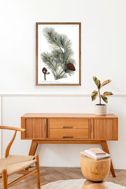 Çam Ahşap Çerçeveli Tablo 30 x 42