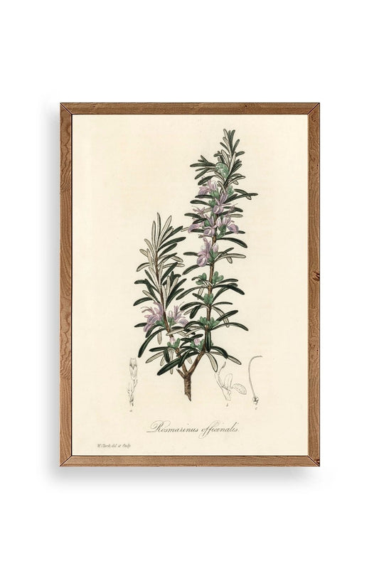 Yaprak Ahşap Çerçeveli Tablo 50 x 70